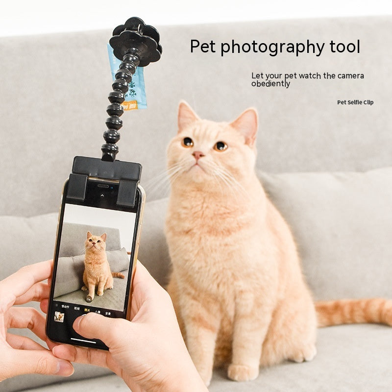 Pet Photography Tool Cat Dog And Dog Viewing Lens Teddy Camera Toy Mobile Phone Camera Holder Selfie Clip Supplies Pet Products - ZENICO